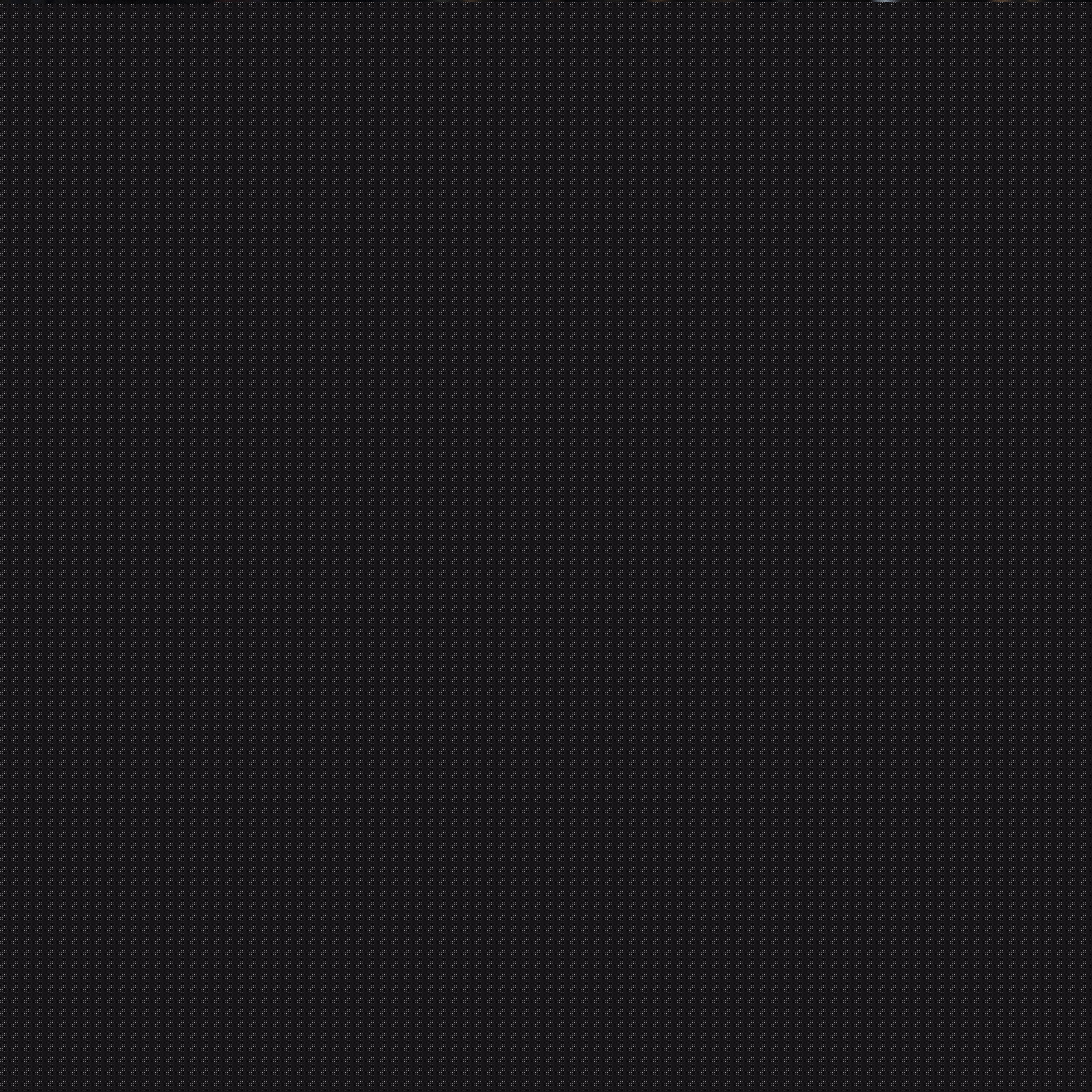 任主教练