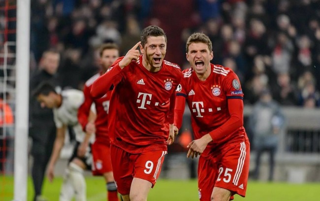 的坚决支持 的坚决支持