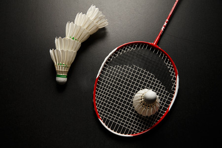 其中的典型 其中的典型