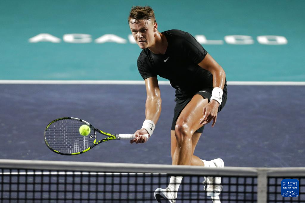 家族传承的 家族传承的