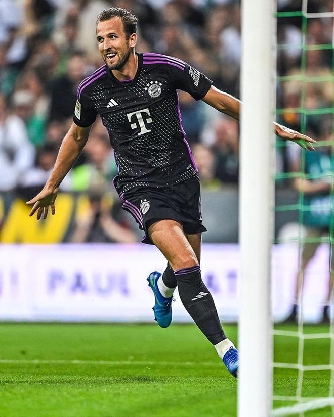 猛龙与老鹰 猛龙与老鹰